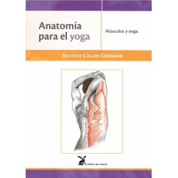 Anatomía para el yoga (músculos y yoga)