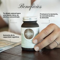 Hifas-Neuro Memoria y Concentración